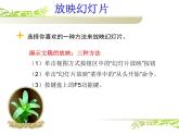 粤教版信息技术第二册下 第13课 让幻灯片产生动态效果 课件