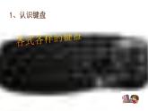 人教版三年级信息技术《认识键盘》PPT课件
