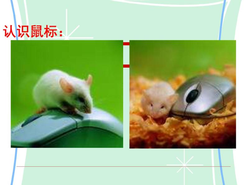 小学三年级上册信息技术--1.2可爱的鼠标--浙江摄影版(13张)ppt课件02