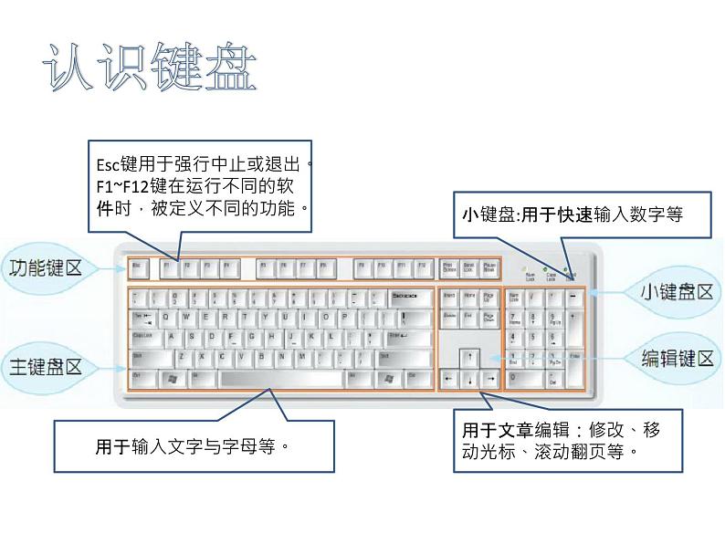 小学三年级下册信息技术--3-键盘一家-浙江摄影版-(16张)ppt课件02