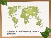 小学四年级下册信息技术-2.8虚拟旅游-浙江摄影版-(15张)ppt课件