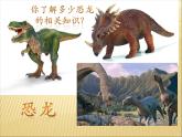 小学四年级下册信息技术-2浏览器的使用-浙江摄影版(8张)ppt课件