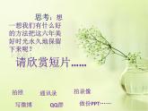 小学六年级下册信息技术-1.5编制毕业留念册｜浙江摄影版(新)(9张)ppt课件