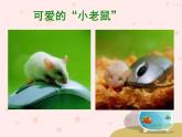 小学三年级上册信息技术-1.2可爱的鼠标-浙江摄影版(新-)-(22张)ppt课件