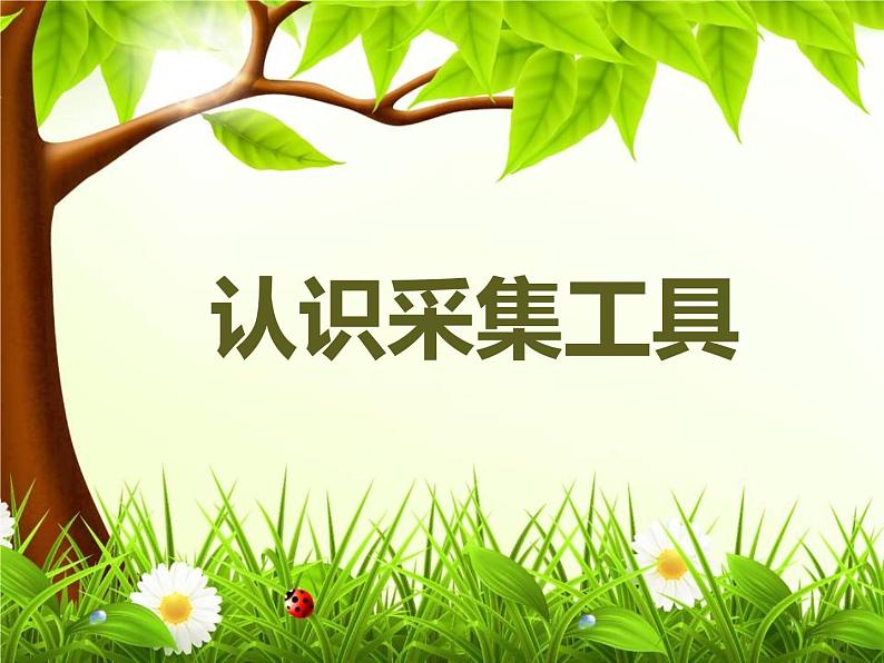 小学五年级上册信息技术-4采集生活点滴｜浙江摄影版(新)(17张)ppt课件第2页