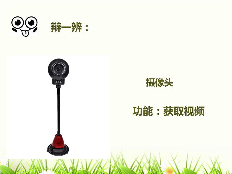 小学五年级上册信息技术-4采集生活点滴｜浙江摄影版(新)(17张)ppt课件第5页