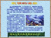 小学四年级上册信息技术-7和电脑作文环境见面｜川教版(17张)ppt课件