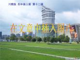 小学四年级上册信息技术-14在文章中插入图片｜川教版(12张)ppt课件
