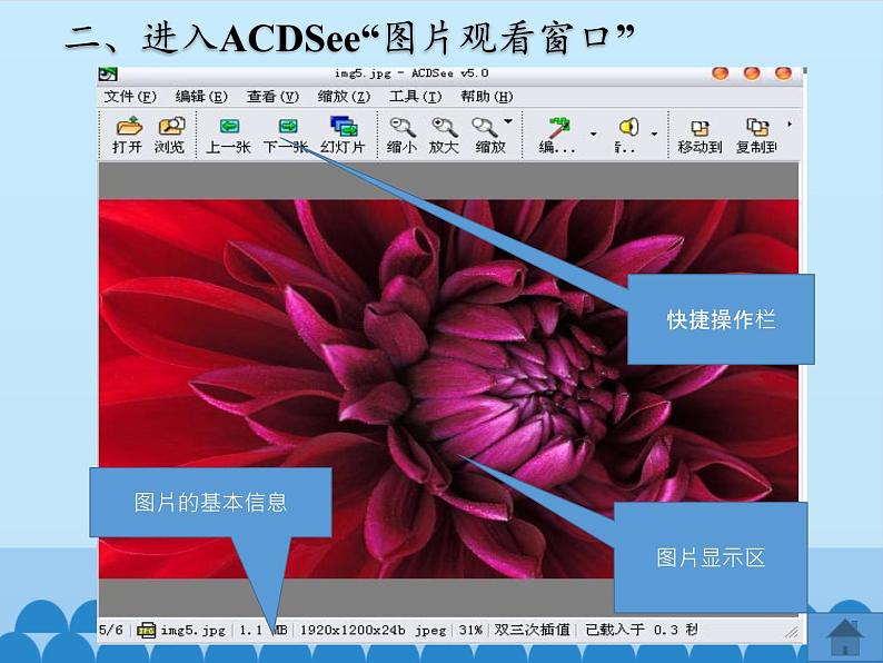 小学五年级上册信息技术-第二课用看图软件欣赏图片川教版(11张)ppt课件05