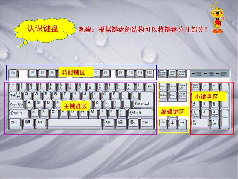 小学三年级上册信息技术-第6课认识键盘---苏科版新版(15张)ppt课件04