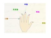 小学三年级上册信息技术-7驾驭键盘-苏科版新版(16张)ppt课件