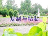 小学三年级下册信息技术-23复制与粘贴图形-苏科版新版(7张)ppt课件