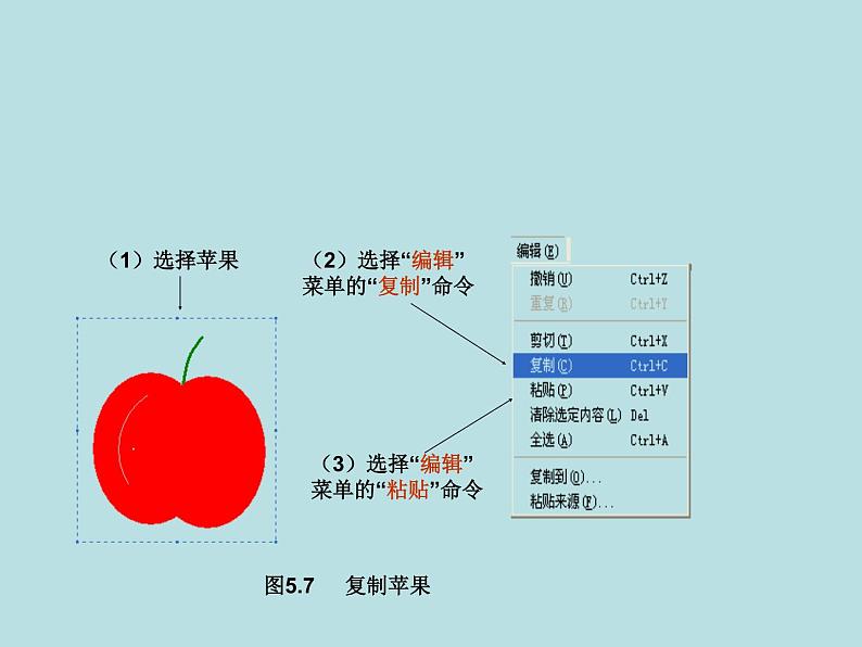 小学三年级下册信息技术-23复制与粘贴图形-苏科版新版(14张)ppt课件07