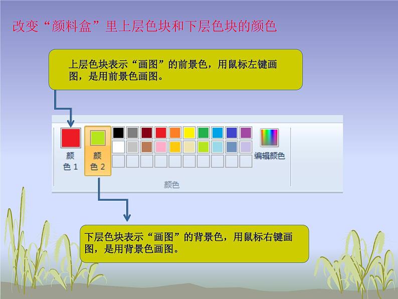 小学四年级上册信息技术-3画图中颜料盒及工具的用法｜川教版(13张)ppt课件第5页