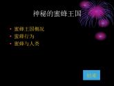 小学四年级下册信息技术-第16课秘的蜜蜂王国∣冀教版-(13张)ppt课件