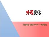 川教版三下 信息技术 外观变化 课件PPT