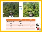1.1 川教版四年级下册信息技术 处理照片 课件PPT