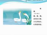 浙攝影版三年級下冊信息技術 第4課《拼音輸入法》課件PPT
