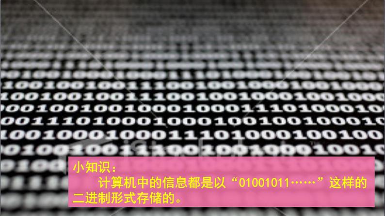 信息技术 采集生活点滴 课件PPT04