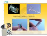 3. 浙攝影版信息技術(shù)《計算機網(wǎng)絡(luò)》課件PPT+教案