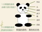 小学信息技术 冀教版 三年级上册 第2课 画大熊猫 画大熊猫 课件