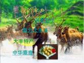 小學(xué)信息技術(shù) 蘇科版 四年級 第15課 插入超鏈接  魅力大豐 課件