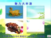 小學(xué)信息技術(shù) 蘇科版 四年級 第15課 插入超鏈接  魅力大豐 課件
