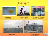 小學(xué)信息技術(shù) 蘇科版 四年級 第15課 插入超鏈接  魅力大豐 課件