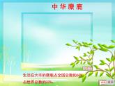 小學(xué)信息技術(shù) 蘇科版 四年級 第15課 插入超鏈接  魅力大豐 課件