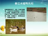 小學(xué)信息技術(shù) 蘇科版 四年級(jí) 第16課 設(shè)置動(dòng)畫效果 課件