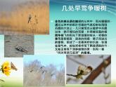 小學(xué)信息技術(shù) 蘇科版 四年級(jí) 第16課 設(shè)置動(dòng)畫效果 課件