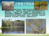 小學(xué)信息技術(shù) 蘇科版 四年級(jí) 第16課 設(shè)置動(dòng)畫效果 課件