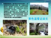 小學(xué)信息技術(shù) 蘇科版 四年級(jí) 第16課 設(shè)置動(dòng)畫效果 課件