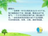小學(xué)信息技術(shù) 蘇科版 三年級 第16課 下載網(wǎng)上信息 給樹制作名片 課件