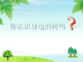 小學(xué)信息技術(shù) 蘇科版 三年級 第16課 下載網(wǎng)上信息 給樹制作名片 課件