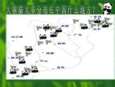 小学信息技术 人教版 五年级上册 第1课 数字照片巧获取 欣赏国宝 国宝大熊猫 课件