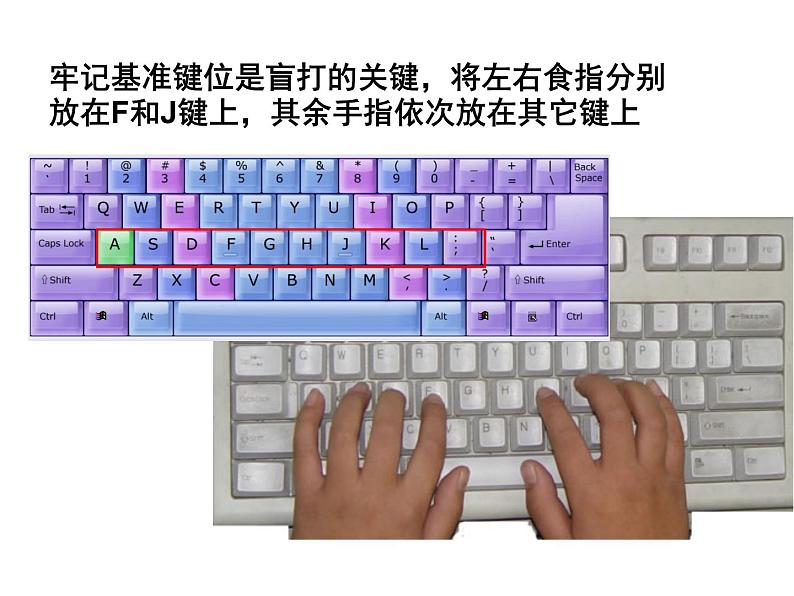 电子工业版（安徽）第一册信息技术 9.输入字母很重要 课件第3页