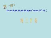 冀教版三年级下册信息技术 19.图说“梅兰竹菊” 课件