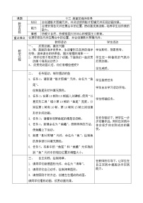 2021学年第13课 美丽的海洋世界教学设计及反思