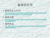 冀教版六年级下册信息技术 20.哭泣的森林 课件