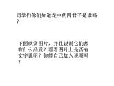 冀教版三年级下册信息技术 19.图说“梅兰竹菊” 课件