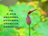 冀教版三年级下册信息技术 17. 古诗配画 课件