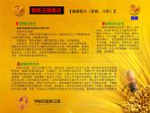 冀教版四年级下册信息技术 16.神秘的蜜蜂王国 课件