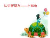 人教版信息技术六年级下册 1.认识海龟小画家 课件
