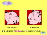人教版信息技术五上 4 美化图像我来做 课件PPT+教案+图片素材