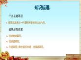 人教版信息技术五上 14 遮罩动画显奇效 课件PPT+教案