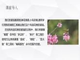 桂教版信息技术三上 第6课 描绘鸟语花香 课件PPT