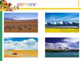 桂教版信息技术五上 1.6 饱览青藏高原美景—添加图片 课件PPT