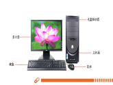 电子工业版(内蒙古) 四上 1 了解计算机 教案+课件PPT
