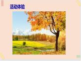 三年级上册信息技术课件-单元2 活动4 小小设计师 第1课时  西师大版(共11张PPT)